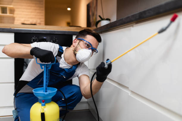 Best Best Pest Control Companies  in Byron, CA