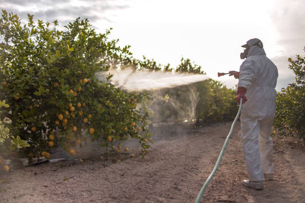 Best Insect Control  in Byron, CA