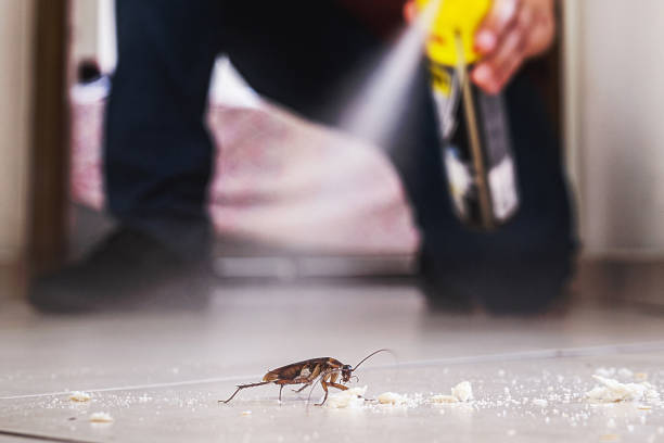 Best Cockroach Control Services  in Byron, CA